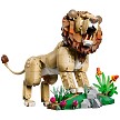 Complete built stock model assembly display of the LEGO Creator 31386 Wild Animals Majestic Lion. 
