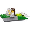 Additional product catalog view highlighting the features of the LEGO Bricks and More 4637 Safari Building Set. 